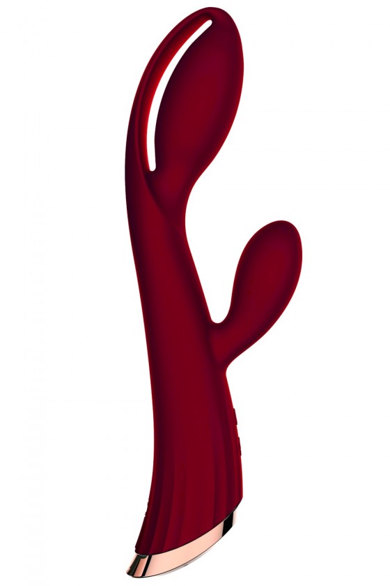 Vibromasseur Rouge avec Stimulateur de Clitoris LRIS USB : Une Explosion de Plaisir et de Technologie