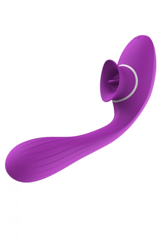2 en 1  Stimulateur de clitoris avec langue et vibromasseur pour G USB flexible violet DISA - WS-NV025