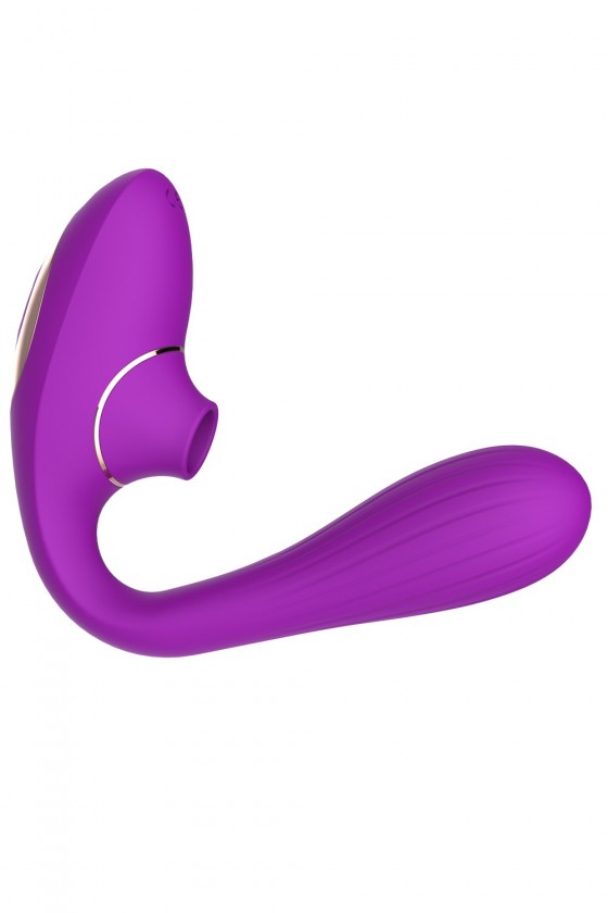 2 en 1 stimulateur de clitoris par succion et vibromasseur point G USB violet flexible DINA - WS-NV017PUR